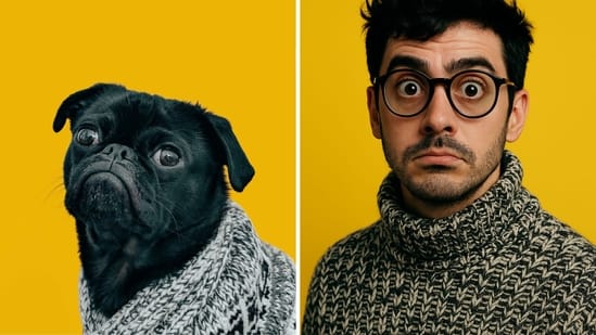 chatgpt pet to human